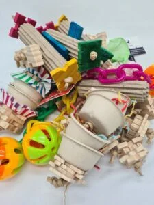 Bird Toys