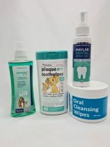 Dental Care