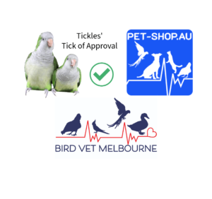 Bird Vet Melbourne Approved Bird Foods