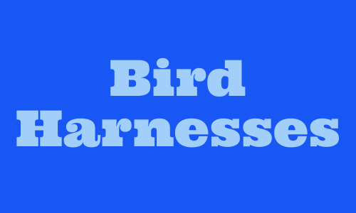 Bird Harnesses