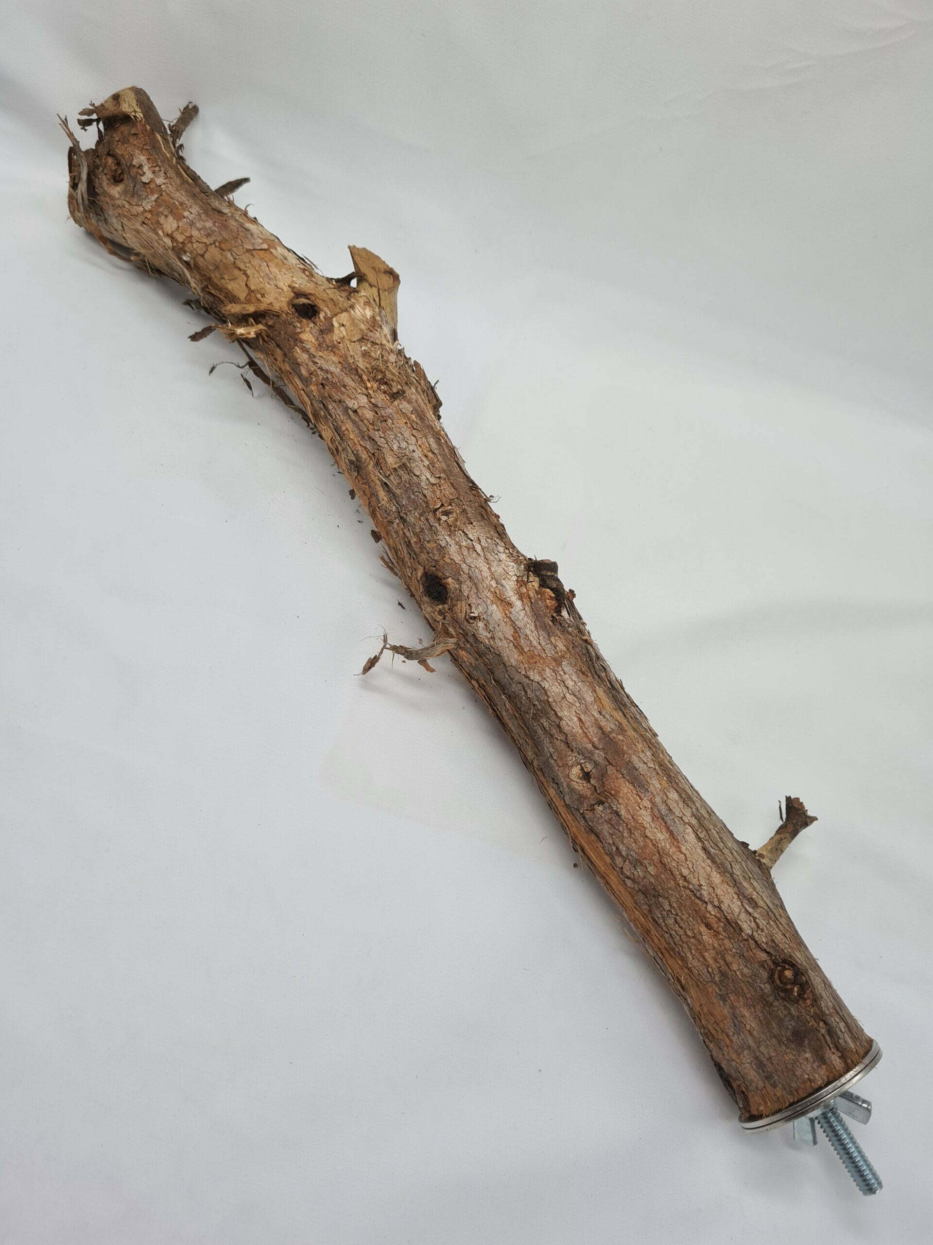 20230105_154314 - Pet-shop.au