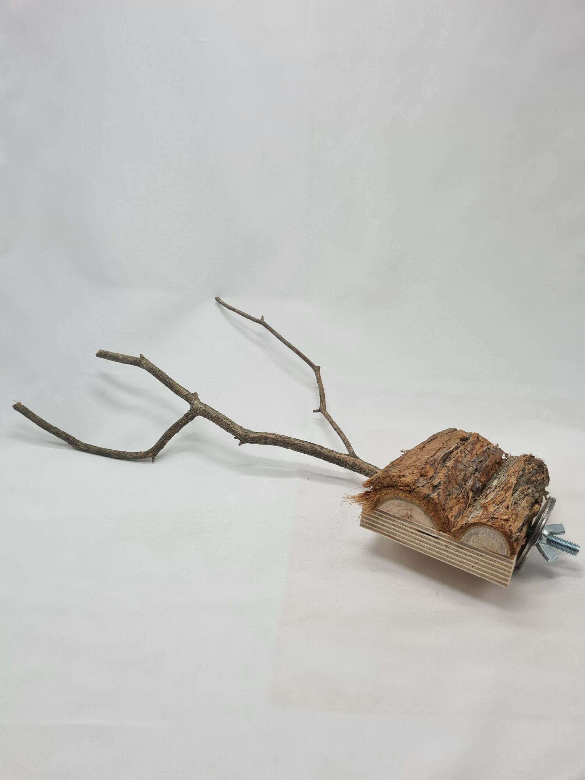 20230112_093651 - Pet-shop.au